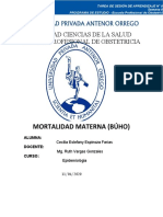 Mortalidad Materna (Búho)