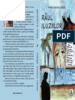 Raul Iluziilor M Gandu.