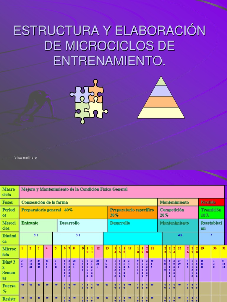 estructura-de-microciclos-de-entrenamiento-pdf-deportes-fisiolog-a