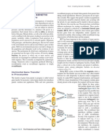 Recombinacion Genetica PDF