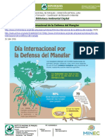 Día Internacional de La Defensa Del Manglar