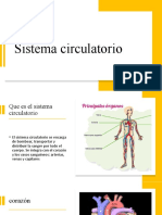 Sistema circulatorio: corazón, vasos sanguíneos y vías de administración parenteral