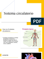 Carlos y Andres Sistema Circulatorio