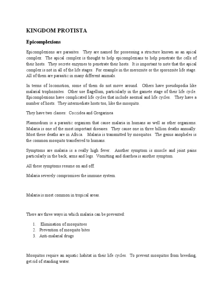 Kingdom Protista PDF Sponge Biology