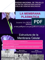 M.PLASMATICA.pdf