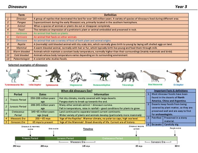 Dinosaurs: Key Terms and Timeline | PDF | Dinosaurs | Cretaceous