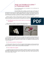 Mode Emploi Phalaenopsis PDF