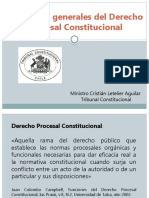Conceptos-Procesales-del-Derecho-Procesal-Constitucional