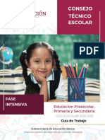 01  Guía Fase Intensiva EB CTE 2020-2021.pdf