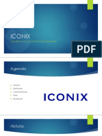 Iconix PDF