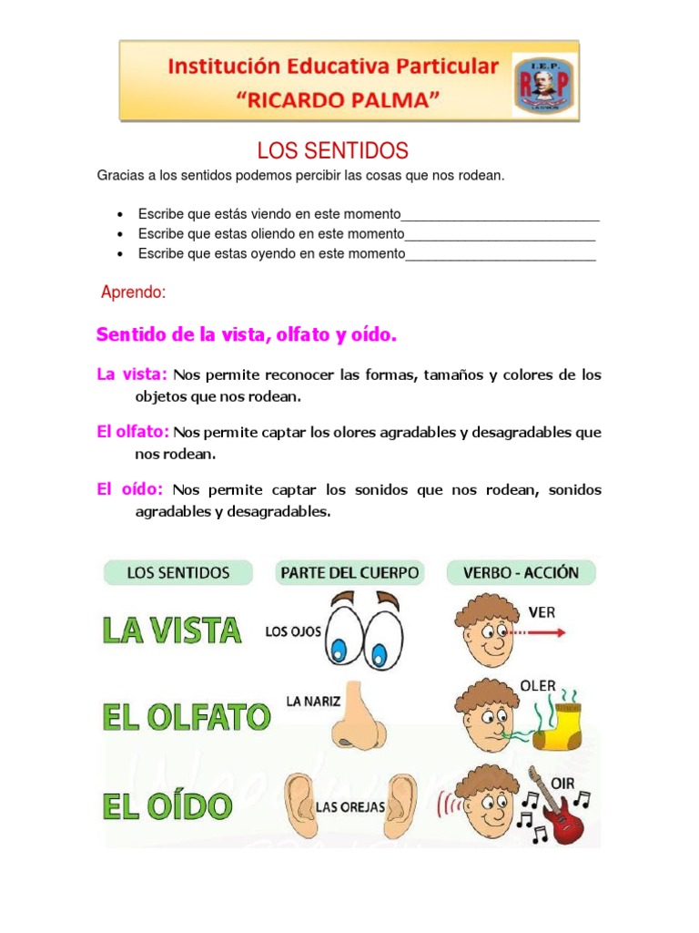 Ciencia y Tecnologia ... Sentidos | PDF