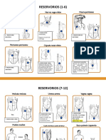 Rastreo 2 PDF