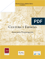 libro araucania y argentina siglo xix y xx.4.pdf