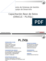 Capacitacion Base de Datos (ORACLE - PL-SQL)