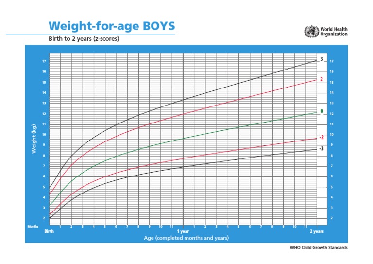 CHT Wfa Boys Z B 2 PDF | PDF