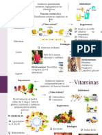 Enzimas y vitaminas: clasificación, función y patologías