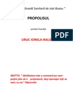 proiect propolis licenta pp.pptx