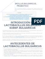 Lactobacillus Bulgaricus, Probiótico - Microbiotaintestinal - Online