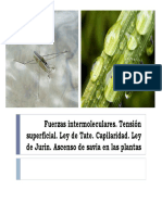 fuerzas_intermoleculares_alimentos.pdf