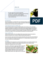 Information Sheet 3: Olive Oil: Key Points
