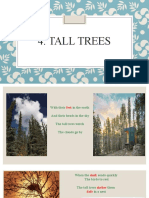 Tall Trees