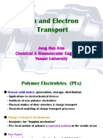 2-Ion - Electron Transport