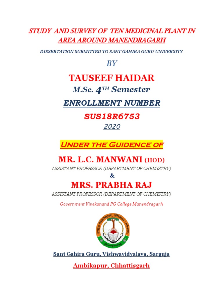 FRONT PAGE by Itauseefhaidar | PDF | Thesis | Academic Degree, image size:768x1024