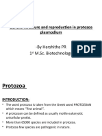 By Harshitha PR 1 M.Sc. Biotechnology: General Structure and Reproduction in Protozoa Plasmodium