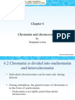 Chromatin and Chromosomes: by Benjamin Lewin