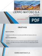 CERRO MATOSO S.A