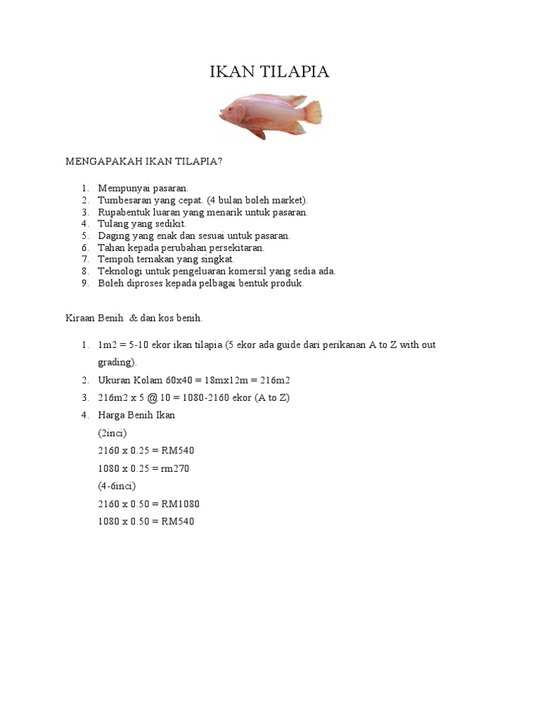 Ikan Tilapia  PDF