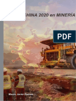 Plaga China 2019 en Minería