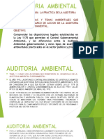 Auditoria Ambiental Febrero Del 2020