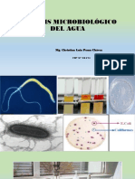 Analisis Microbiológico Del Agua PDF