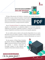 Custodia_de_Divisas_BBDP.pdf