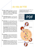 Ciclo de VIH PDF