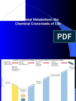Microbial Metabolism-The Chemical Crossroads of Life