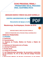 10) Derecho Probatorio en El Proceso Penal Octubre 2018