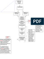 Proceso de Trazabilidad.