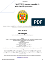 Gobierno del Perú.pdf