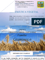 clementina_arias_montecino_(_sistematica_vegetal)[1].pptx
