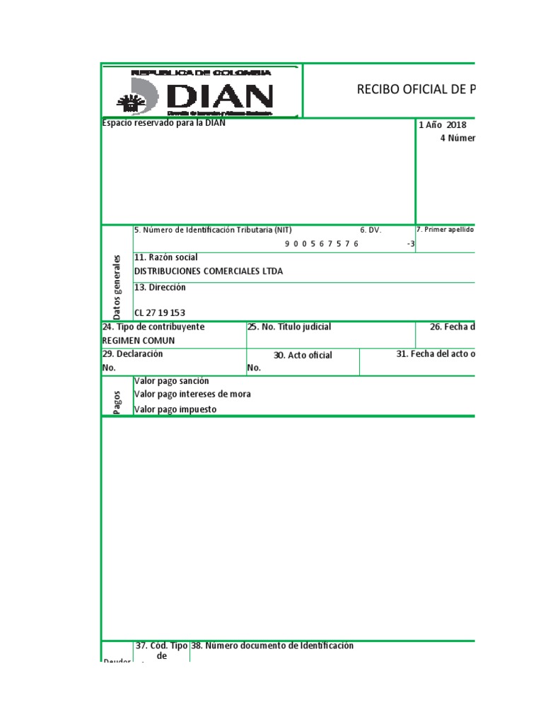 Recibo Oficial Formulario 490 DIAN | PDF