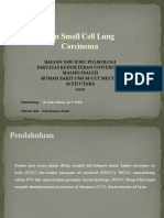 PPT Non Small Cell Lung Carcinoma