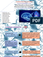 Neuroplasticidad PDF