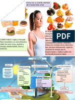 Energía de los alimentos