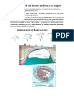 04 Defina Ud Los Domos Salinos y Su Origen PDF