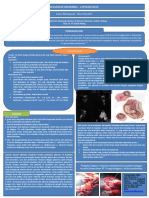 Poster Intra Abdominal Pregnansi