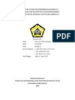 Cover Resume SPH I