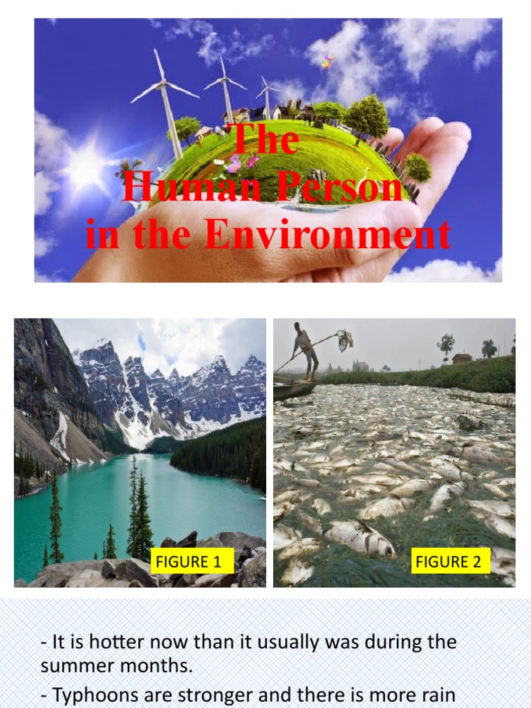 Human Impact on Environmental Change | PDF | Sustainability | Natural ...