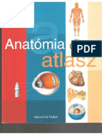 anatómiai atlasz.pdf